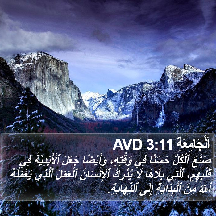 اَلْجَامِعَةِ 3:11 AVD Bible Study