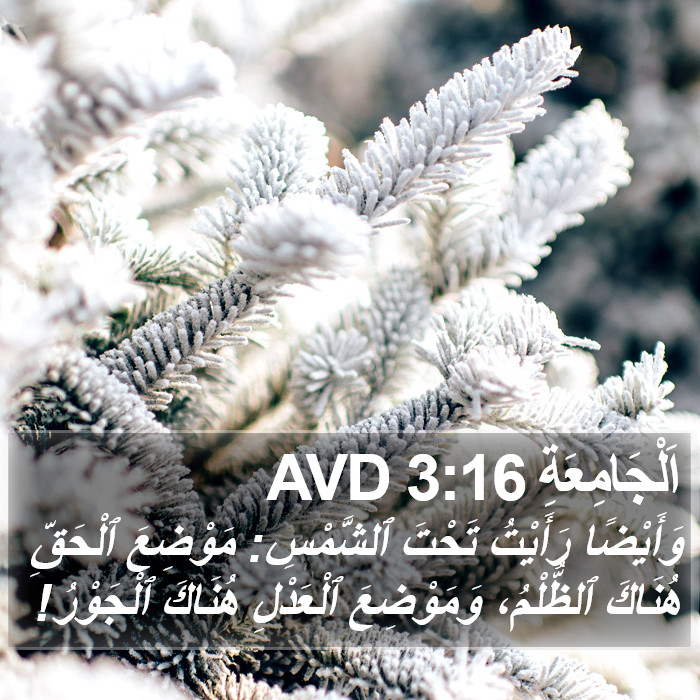 اَلْجَامِعَةِ 3:16 AVD Bible Study