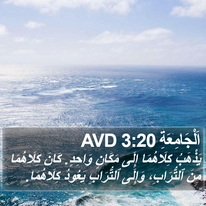 اَلْجَامِعَةِ 3:20 AVD Bible Study
