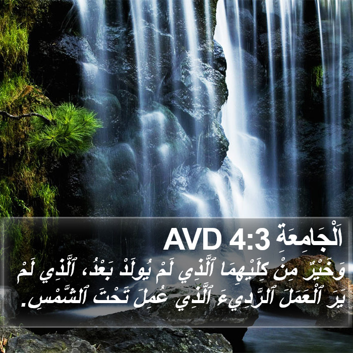 اَلْجَامِعَةِ 4:3 AVD Bible Study
