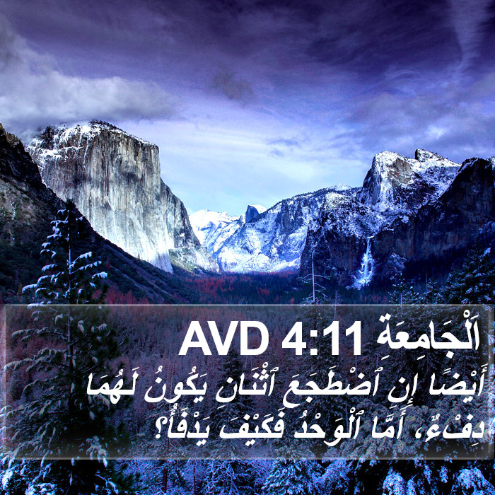 اَلْجَامِعَةِ 4:11 AVD Bible Study