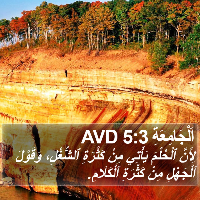 اَلْجَامِعَةِ 5:3 AVD Bible Study