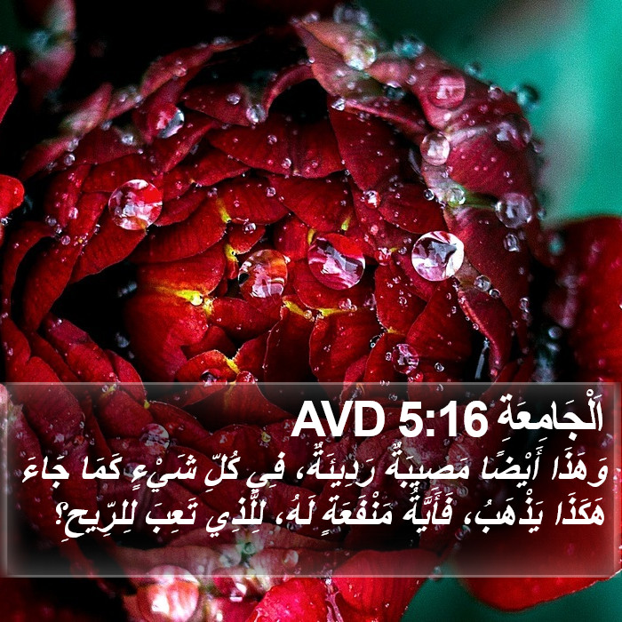 اَلْجَامِعَةِ 5:16 AVD Bible Study