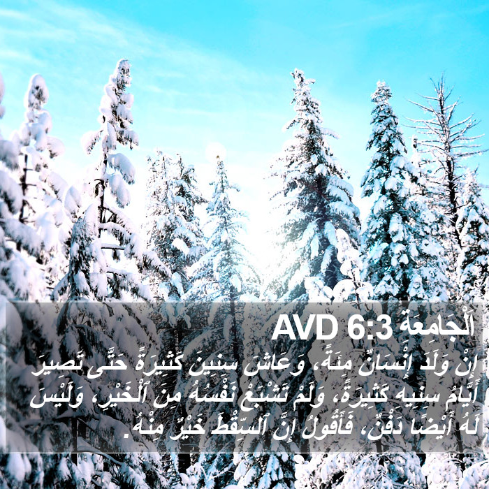 اَلْجَامِعَةِ 6:3 AVD Bible Study