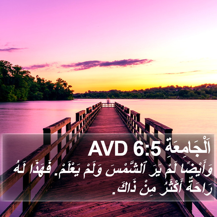 اَلْجَامِعَةِ 6:5 AVD Bible Study