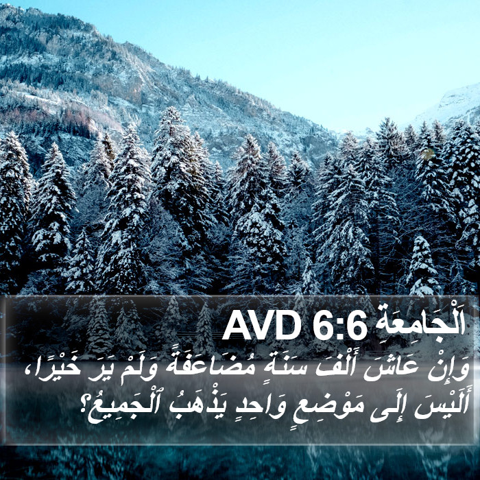 اَلْجَامِعَةِ 6:6 AVD Bible Study