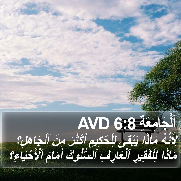 اَلْجَامِعَةِ 6:8 AVD Bible Study