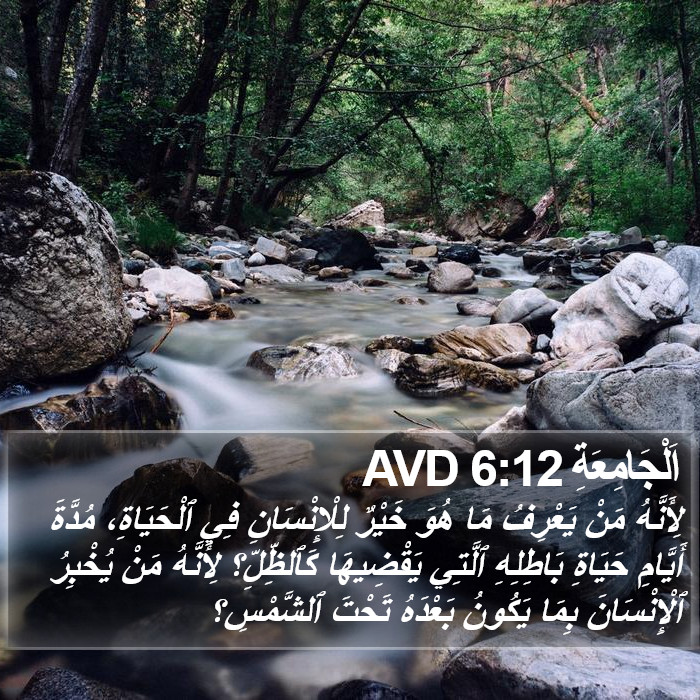 اَلْجَامِعَةِ 6:12 AVD Bible Study