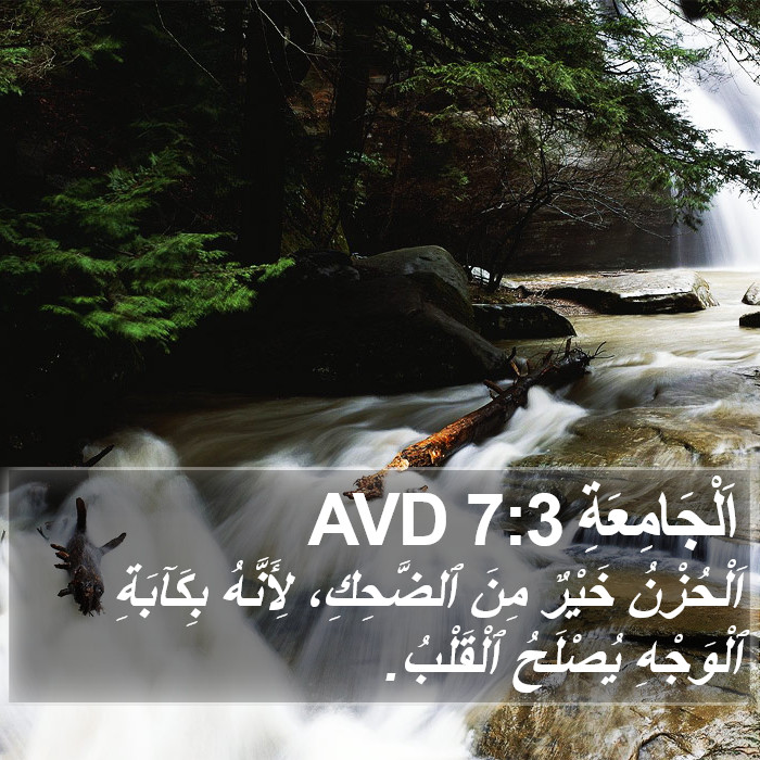 اَلْجَامِعَةِ 7:3 AVD Bible Study