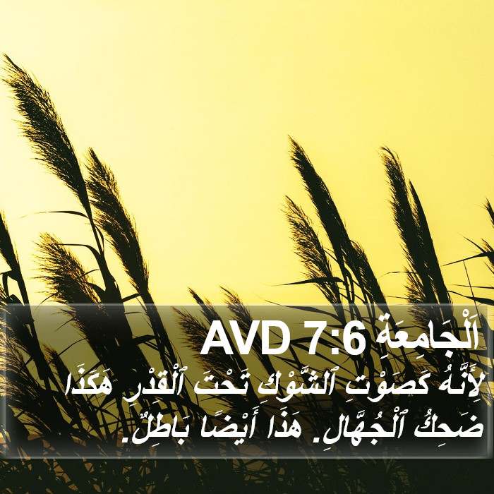اَلْجَامِعَةِ 7:6 AVD Bible Study
