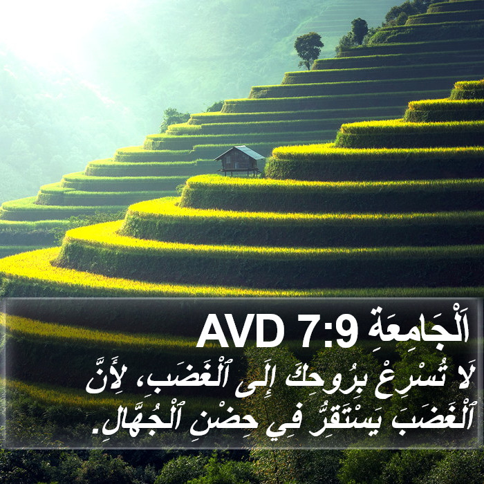 اَلْجَامِعَةِ 7:9 AVD Bible Study