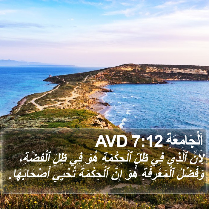 اَلْجَامِعَةِ 7:12 AVD Bible Study