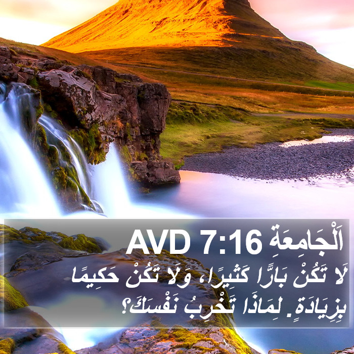 اَلْجَامِعَةِ 7:16 AVD Bible Study