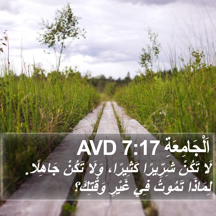 اَلْجَامِعَةِ 7:17 AVD Bible Study
