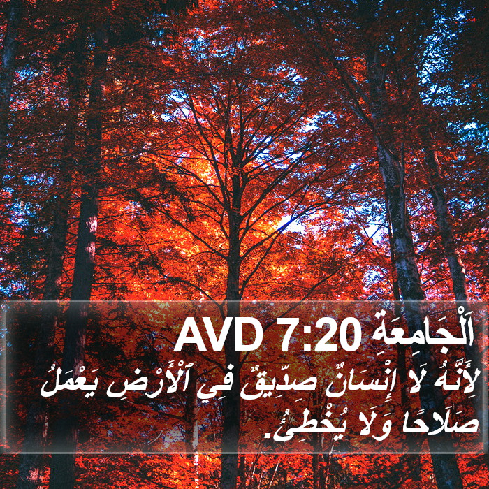 اَلْجَامِعَةِ 7:20 AVD Bible Study