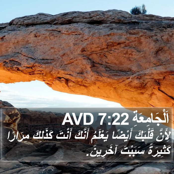 اَلْجَامِعَةِ 7:22 AVD Bible Study