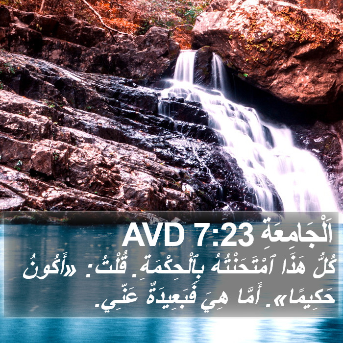 اَلْجَامِعَةِ 7:23 AVD Bible Study