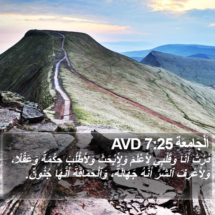 اَلْجَامِعَةِ 7:25 AVD Bible Study