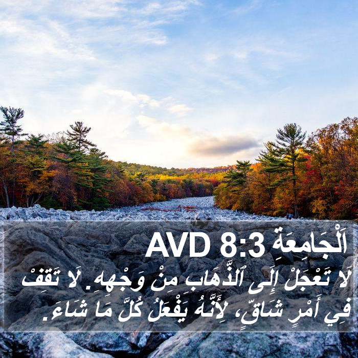 اَلْجَامِعَةِ 8:3 AVD Bible Study