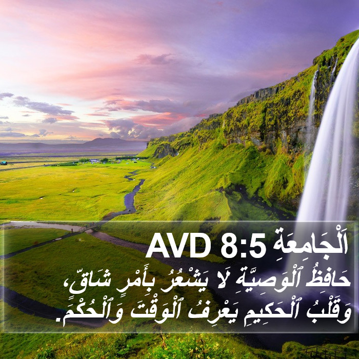 اَلْجَامِعَةِ 8:5 AVD Bible Study