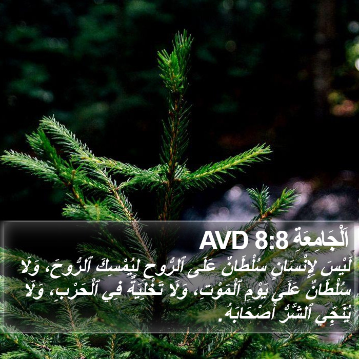 اَلْجَامِعَةِ 8:8 AVD Bible Study