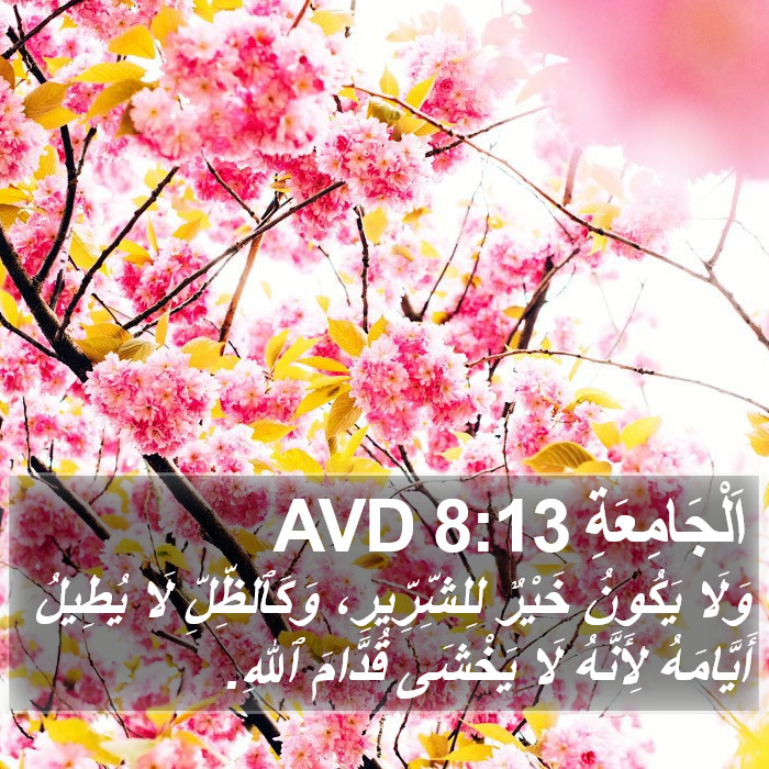 اَلْجَامِعَةِ 8:13 AVD Bible Study
