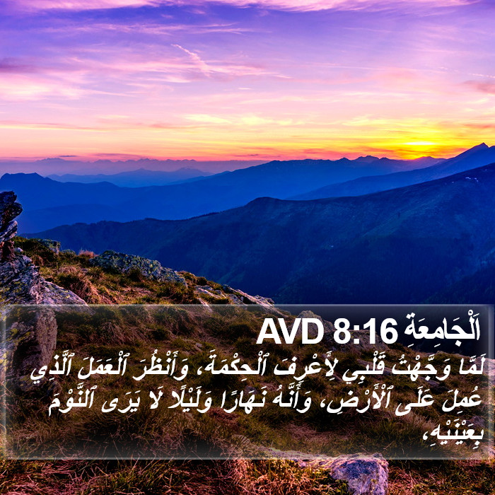 اَلْجَامِعَةِ 8:16 AVD Bible Study