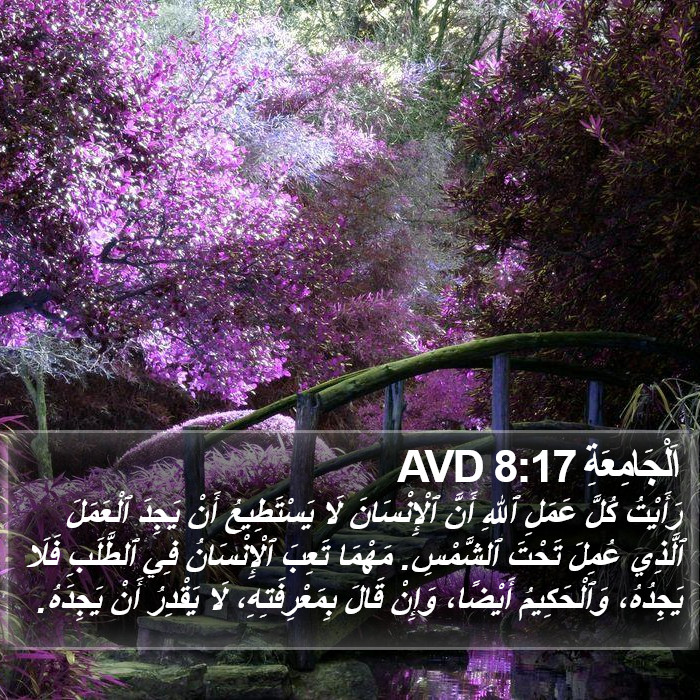اَلْجَامِعَةِ 8:17 AVD Bible Study
