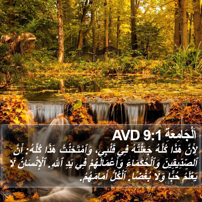 اَلْجَامِعَةِ 9:1 AVD Bible Study
