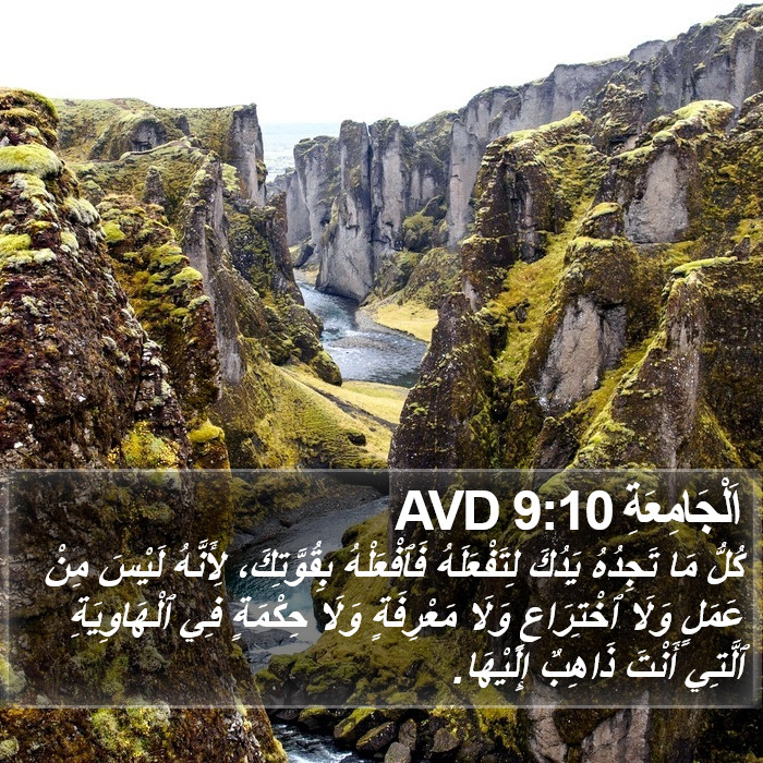 اَلْجَامِعَةِ 9:10 AVD Bible Study