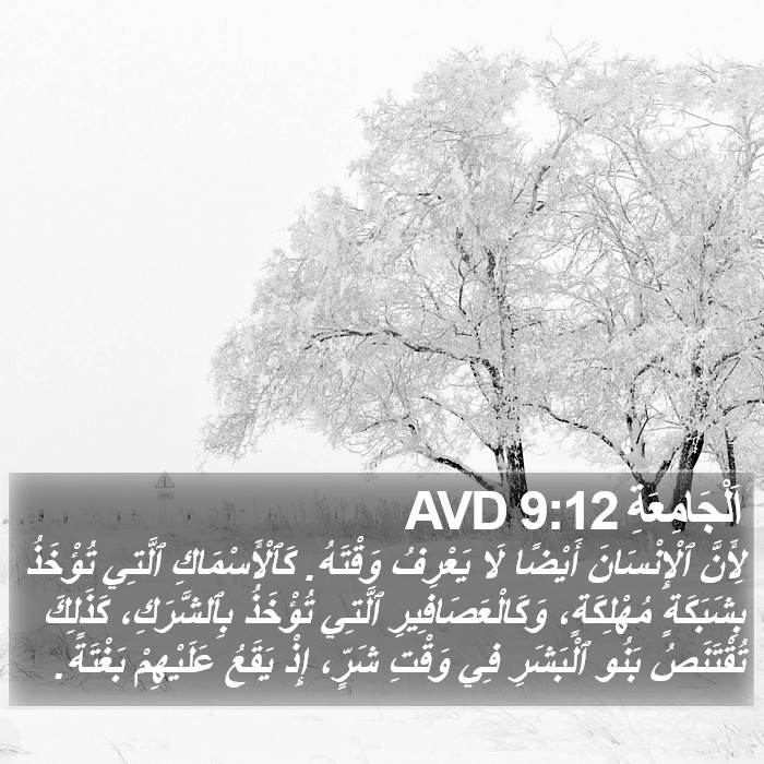 اَلْجَامِعَةِ 9:12 AVD Bible Study