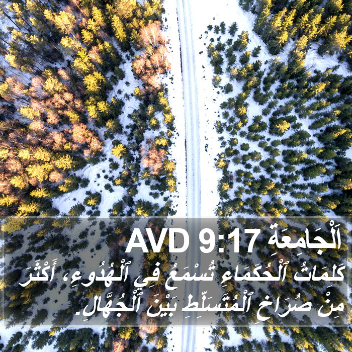 اَلْجَامِعَةِ 9:17 AVD Bible Study