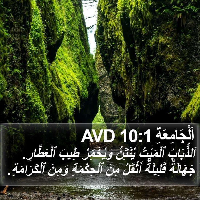 اَلْجَامِعَةِ 10:1 AVD Bible Study