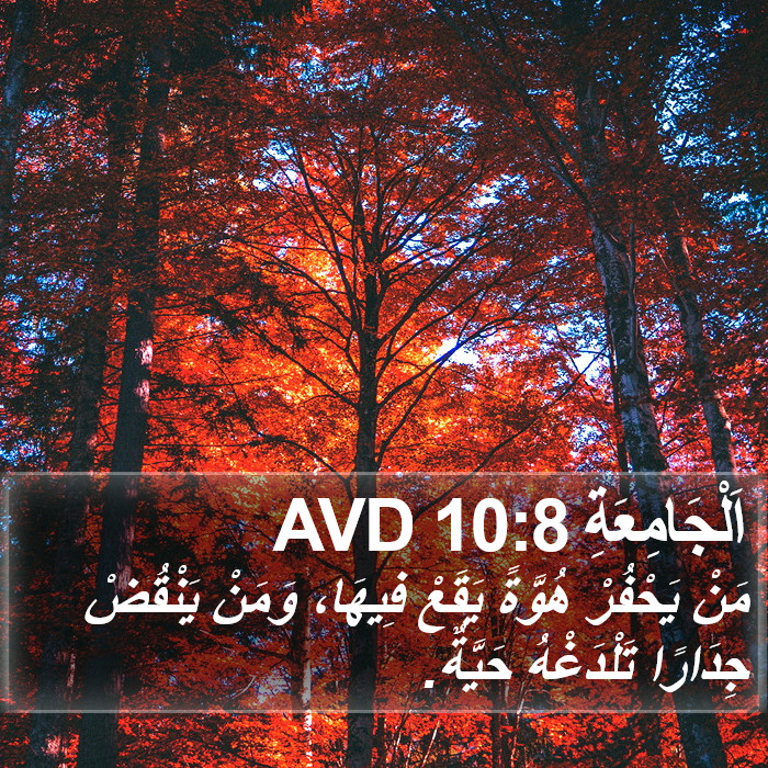 اَلْجَامِعَةِ 10:8 AVD Bible Study
