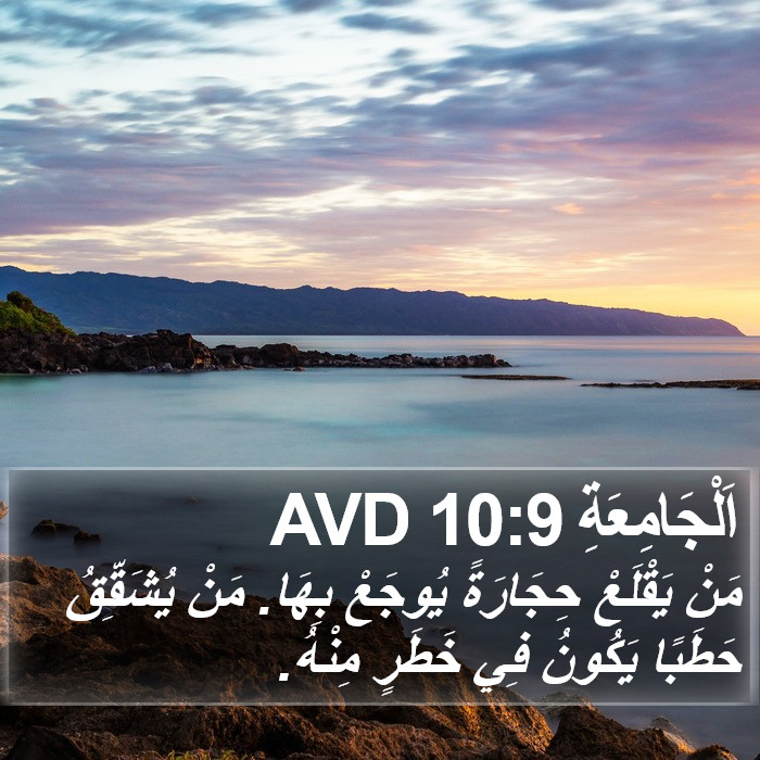 اَلْجَامِعَةِ 10:9 AVD Bible Study