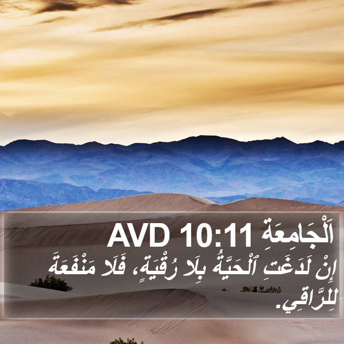 اَلْجَامِعَةِ 10:11 AVD Bible Study
