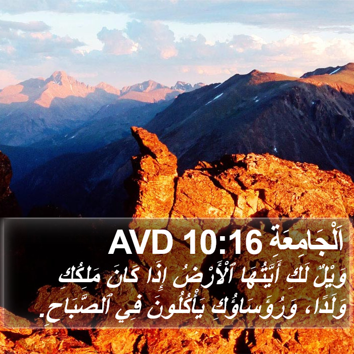 اَلْجَامِعَةِ 10:16 AVD Bible Study