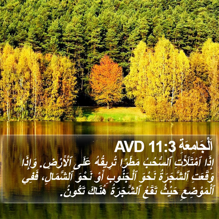 اَلْجَامِعَةِ 11:3 AVD Bible Study