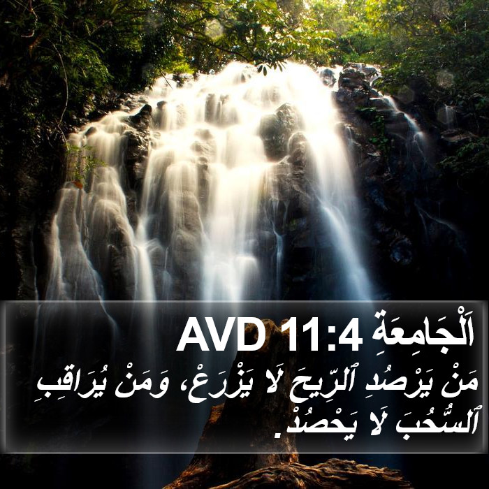 اَلْجَامِعَةِ 11:4 AVD Bible Study