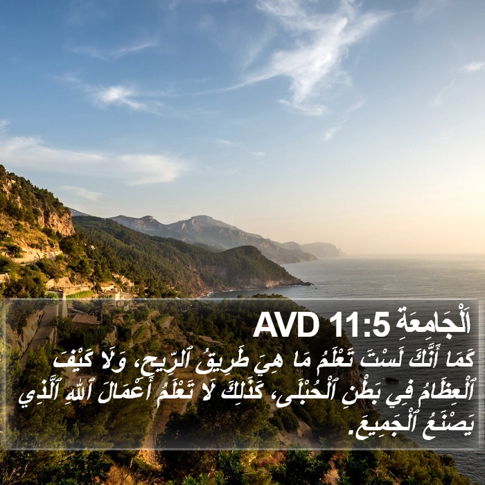 اَلْجَامِعَةِ 11:5 AVD Bible Study