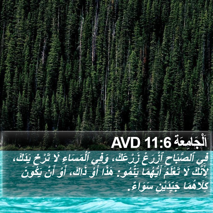 اَلْجَامِعَةِ 11:6 AVD Bible Study