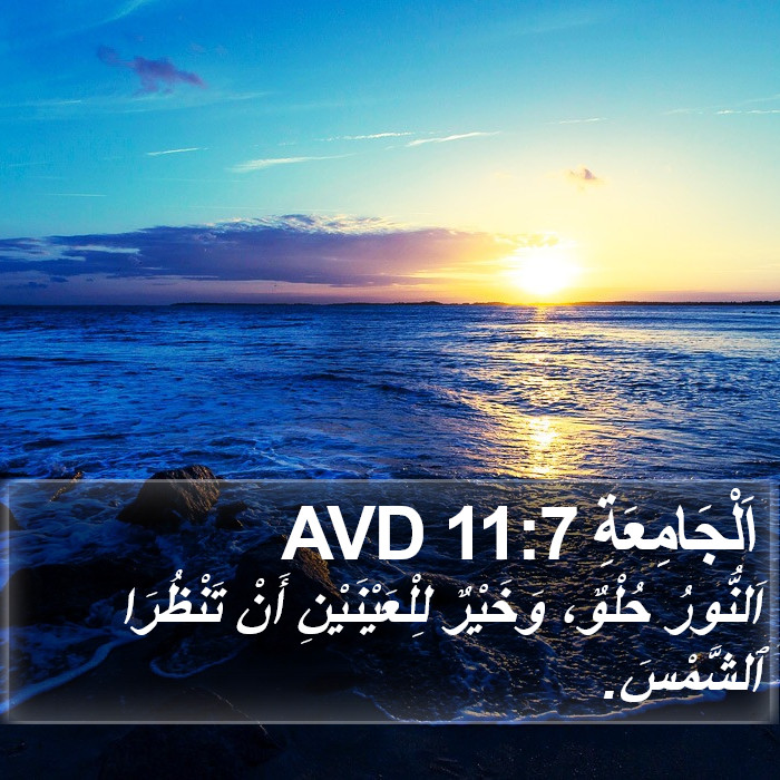 اَلْجَامِعَةِ 11:7 AVD Bible Study