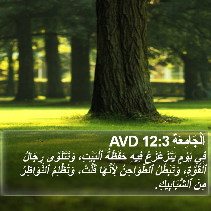 اَلْجَامِعَةِ 12:3 AVD Bible Study