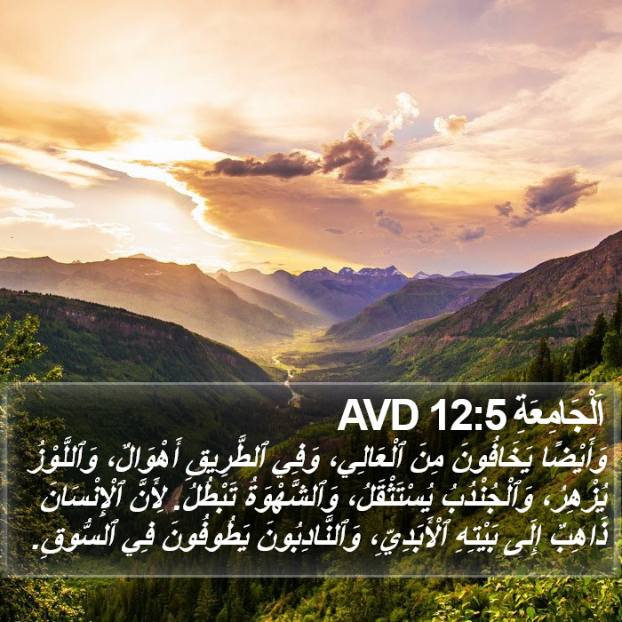 اَلْجَامِعَةِ 12:5 AVD Bible Study