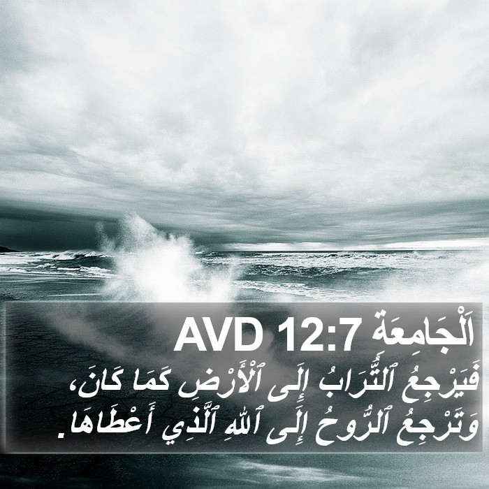اَلْجَامِعَةِ 12:7 AVD Bible Study