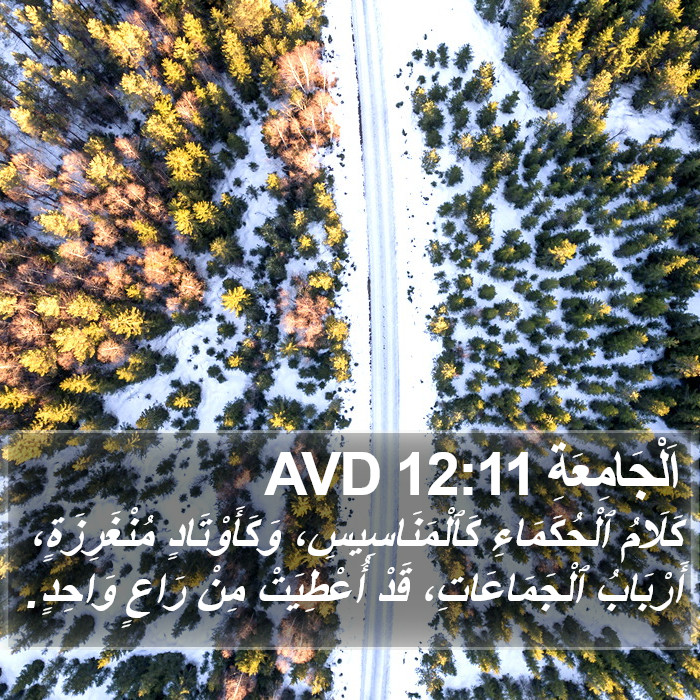 اَلْجَامِعَةِ 12:11 AVD Bible Study