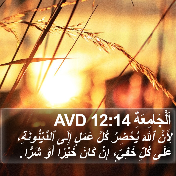 اَلْجَامِعَةِ 12:14 AVD Bible Study