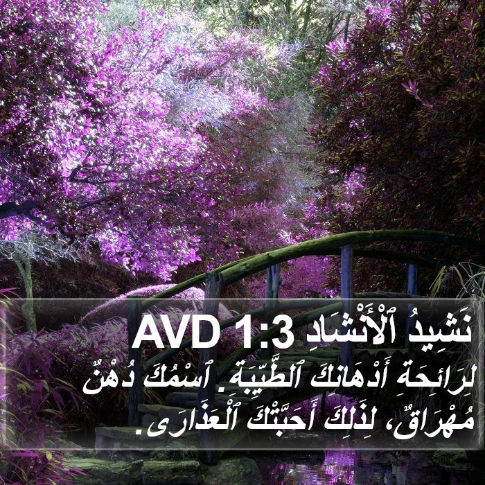 نَشِيدُ ٱلْأَنْشَادِ 1:3 AVD Bible Study