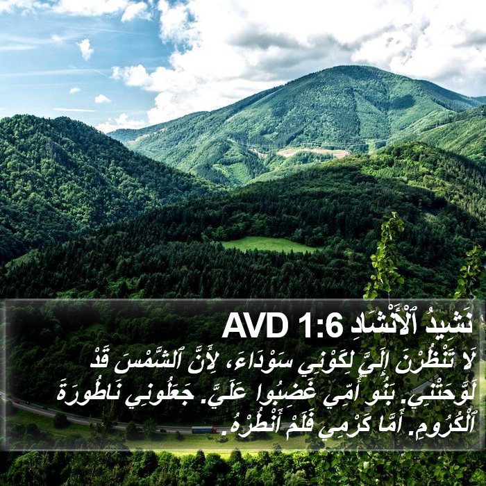 نَشِيدُ ٱلْأَنْشَادِ 1:6 AVD Bible Study