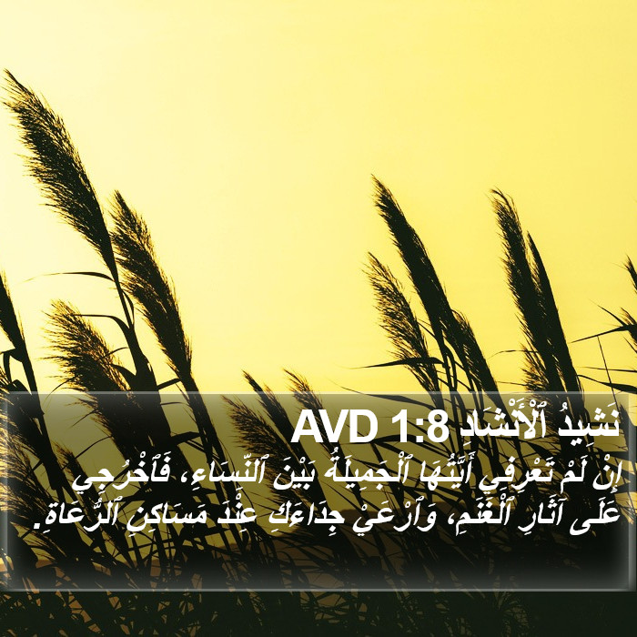 نَشِيدُ ٱلْأَنْشَادِ 1:8 AVD Bible Study